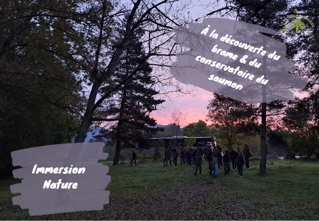 Élèves de Bac pro GMNF en immersion nocturne lors du brame du cerf au conservatoire du saumon : observation des comportements, explication des enjeux de conservation et découverte du milieu naturel.